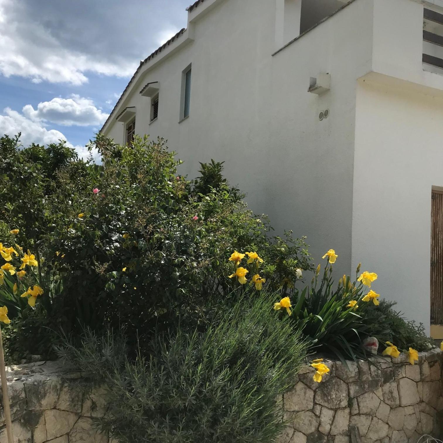 Six Bedroom Holiday Home Matea Ploce  Eksteriør billede